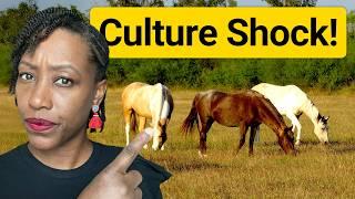 What No One Tells You About Moving to Texas